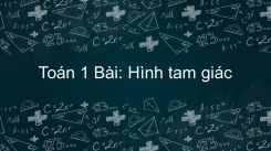 Bài: Hình tam giác