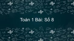Bài Số 8