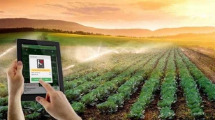 Pi Network Bước Tiến Lớn: Số Dư Chưa Xác Minh Giờ Đã Có Thể Chuyển Đổi