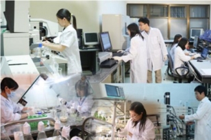 Việt Nam là hình mẫu về đổi mới sáng tạo tại các nước đang phát triển