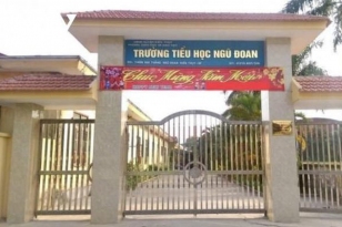 Vụ học sinh bị đánh tím mông: Lệnh cho một đứa trẻ đánh bạn là phản giáo dục!