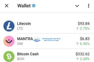 Ro tin Pi Network duoc Telegram tich hop vao vi dien tu