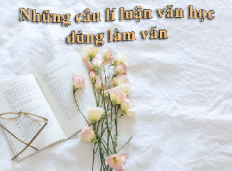 Ôn tập kiểm tra Ngữ văn 11