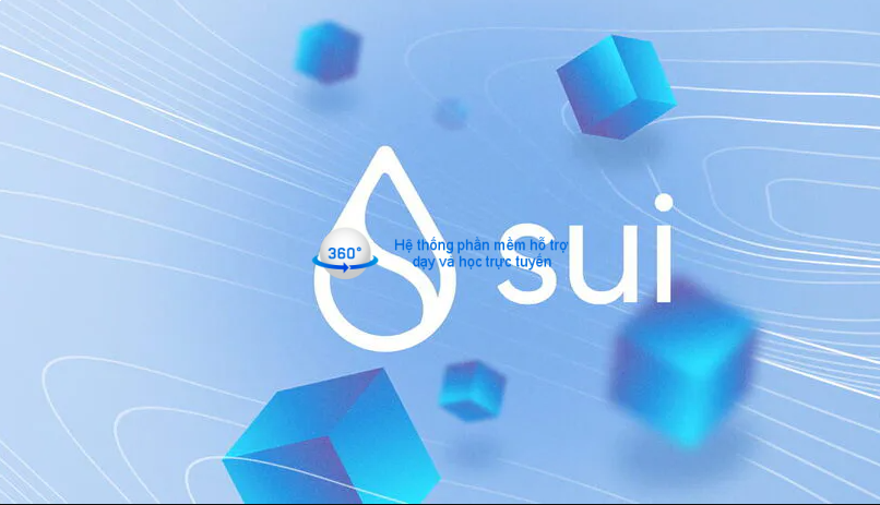 Chuyện gì đang thu hút cả triệu người tham gia Sui Network mỗi ngày?